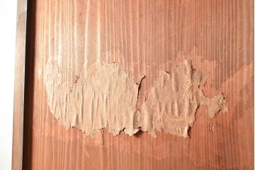 和製アンティーク　前面ケヤキ材　赤みがかった木色が目を引く上手物の重ね戸棚(収納棚、食器棚、キャビネット、ガラス戸棚)(R-047947)