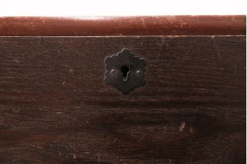 和製アンティーク　年月を重ねた味わいが魅力的な前面栓材製の箪笥ローボード(衣装箪笥、時代箪笥、チェスト、引き出し)(R-047989)