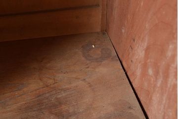 和製アンティーク　扉の意匠がおしゃれ!大正ロマン香るブックケース(本箱、収納棚、飾り棚、キャビネット)(R-047994)