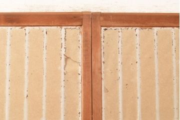 アンティーク建具　和レトロな雰囲気漂う障子戸2枚セット(引き戸、建具)(R-048059)