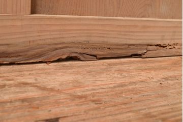 アンティーク建具　木の味わいを活かした空間づくりにおすすめなガラス戸2枚セット(窓、引き戸、建具)(R-048144)