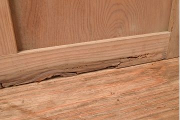 アンティーク建具　木の味わいを活かした空間づくりにおすすめなガラス戸2枚セット(窓、引き戸、建具)(R-048144)