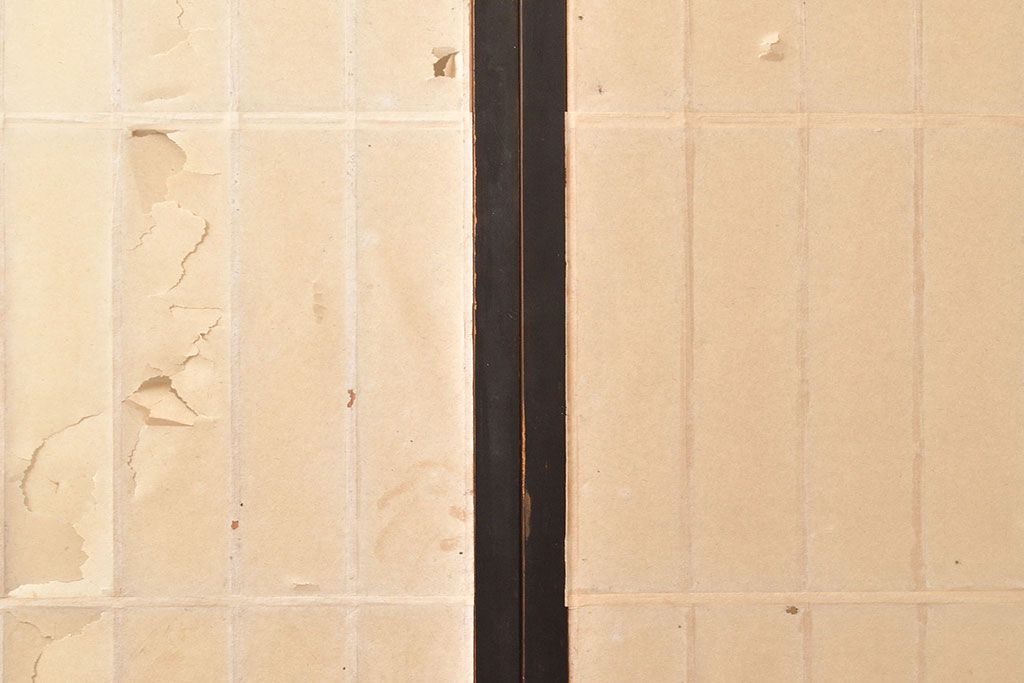 アンティーク建具　昭和初期　黒い框がモダンな印象を高める障子戸2枚セット　(R-048150)