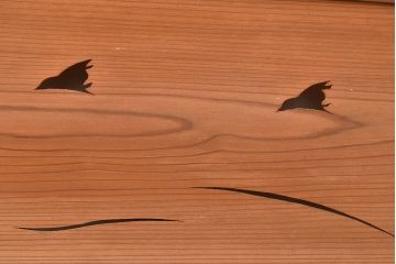 和製アンティーク　波千鳥の透かし彫りがお洒落なアクセントになった御簾戸2枚セット(簾戸、簀戸、葭戸、夏障子、すど、葦戸)(R-048239)