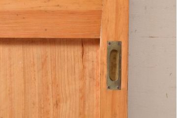 アンティーク建具　ヒノキ材　粋な和の雰囲気を盛り上げる亀甲金網付きの蔵戸(引き戸、玄関戸)(R-048263)