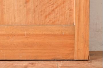 アンティーク建具　ヒノキ材　粋な和の雰囲気を盛り上げる亀甲金網付きの蔵戸(引き戸、玄関戸)(R-048263)