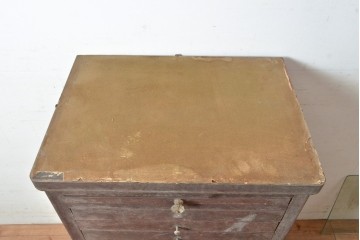 和製アンティーク　ノスタルジックな雰囲気が素敵な医療用キャビネット(ケビント、収納棚、サイドキャビネット)(R-048271)