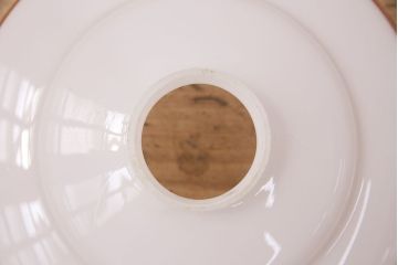 アンティーク照明　昭和中期　セルロイド装飾とお花のモチーフが柔らかく光る天井照明(ペンダントライト、吊り下げ照明)(R-048298)