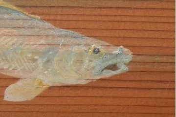 アンティーク建具　鮎の絵柄が風情を高める簀戸4枚セット(簾戸、葭戸、夏障子、夏戸、すど、葦戸)(R-048318)