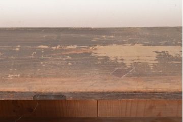 アンティーク家具　和製アンティーク　薄型サイズが珍しい収納棚(本棚、ブックシェルフ)(R-048405)