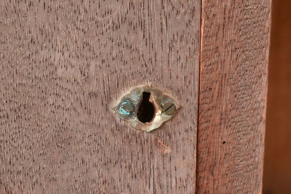 アンティーク家具　和製アンティーク　薄型サイズが珍しい収納棚(本棚、ブックシェルフ)(R-048405)