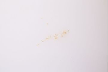 和製アンティーク　和・洋どちらの空間にも合わせやすいデザインの壁付け照明(壁掛け照明、ウォールランプ)(R-048418)