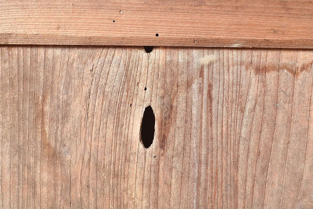 アンティーク建具　枠ヒノキ材・腰板ケヤキ材　経年によって増した味わいが魅力の蔵戸(引き戸、玄関戸)(R-048480)