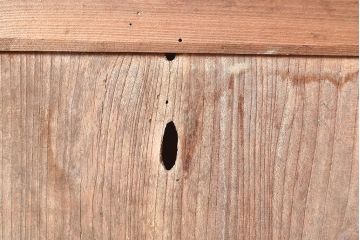 アンティーク建具　枠ヒノキ材・腰板ケヤキ材　経年によって増した味わいが魅力の蔵戸(引き戸、玄関戸)(R-048480)