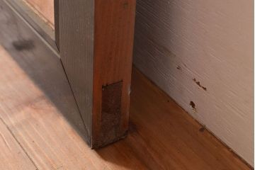 アンティーク建具　梅の木・菖蒲　鳥のさえずりが聞こえてきそうな表現が見事な彫刻欄間(明り取り、建具)(R-048483)