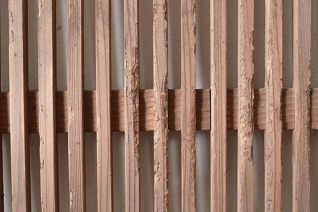 アンティーク建具　明治～大正期　シンプルな佇まいで取り入れやすい檜(ヒノキ)材の格子戸1枚　(R-048595)