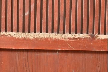 アンティーク建具　赤みがかった色味が印象的なヒノキ材製の蔵戸(引き戸、玄関戸)(R-048604)