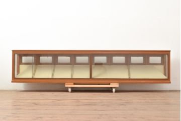和製アンティーク　ペイント仕上げ限定　レトロな珍しい横長型の卓上ガラスケース(ショーケース、陳列棚)(R-048669)