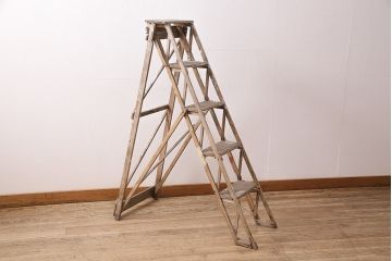 フランスアンティーク　使い込まれた風合いが魅力のラダー(はしご、ディスプレイ用)(R-048785)