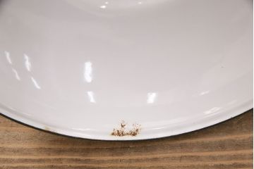 アンティーク照明　昭和レトロ　グリーンカラーが空間のアクセントになるホーロー製天井照明(ペンダントライト、吊り下げ照明、琺瑯)(R-048938)