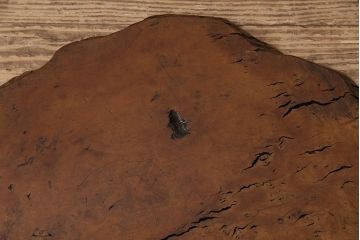 ビンテージ雑貨　趣溢れる佇まいが魅力的なカリン(花梨)材製の花台(飾り台、盆栽卓、瘤材)(R-048979)
