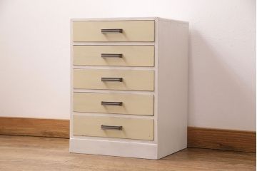 和製アンティーク　ペイントカラーが優しい印象の小引き出し(小物収納、サイドチェスト)(R-049086)