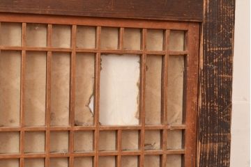 アンティーク建具　大正期　レトロな雰囲気を醸しだす格子帯戸1枚(引き戸、障子帯戸、建具)(R-049109)