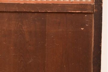 アンティーク建具　大正期　レトロな雰囲気を醸しだす格子帯戸1枚(引き戸、障子帯戸、建具)(R-049109)