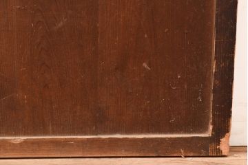 アンティーク建具　大正期　レトロな雰囲気を醸しだす格子帯戸1枚(引き戸、障子帯戸、建具)(R-049109)