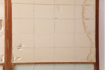 アンティーク建具　経年による風合いが情緒溢れる雪見障子戸2枚セット(摺り上げ障子戸、引き戸、擦り上げ障子戸、擦上障子戸、建具)(R-049196)