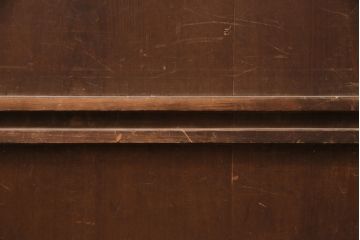 アンティーク建具　長い歳月を経た風合いが趣溢れる無双付き引き戸(無双窓、板戸、建具)(R-049197)