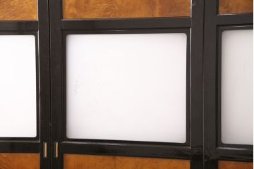 和製アンティーク　鏡板杉板一枚板　穏やかな風景図が和の風情を醸し出す引き戸4枚セット(建具、ガラス帯戸)(R-049200)