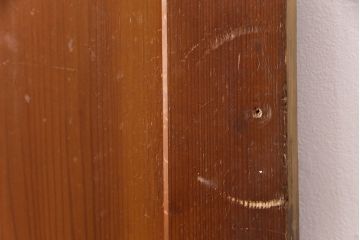 アンティーク建具　ヒノキ材　昭和レトロな空間づくりにおすすめの木製ドア(ガラス扉、建具)(R-049206)