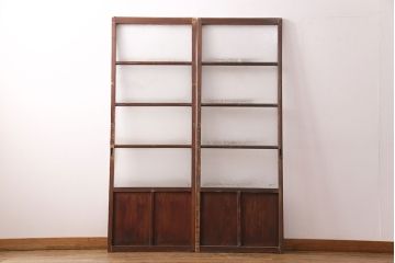 和製アンティーク　結霜ガラスとすりガラスがレトロな雰囲気を高めるガラス戸2枚セット(引き戸、建具)(R-049208)