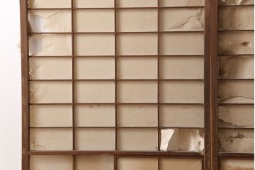 アンティーク建具　小さな障子戸付き　季節の移ろいを感じることができる雪見障子戸2枚セット(引き戸、擦り上げ障子戸、擦上障子戸、建具)(R-049213)