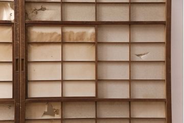 アンティーク建具　小さな障子戸付き　季節の移ろいを感じることができる雪見障子戸2枚セット(引き戸、擦り上げ障子戸、擦上障子戸、建具)(R-049213)