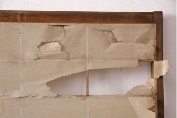 アンティーク建具　小さな障子戸付き　季節の移ろいを感じることができる雪見障子戸2枚セット(引き戸、擦り上げ障子戸、擦上障子戸、建具)(R-049213)