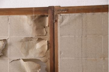 アンティーク建具　小さな障子戸付き　季節の移ろいを感じることができる雪見障子戸2枚セット(引き戸、擦り上げ障子戸、擦上障子戸、建具)(R-049213)