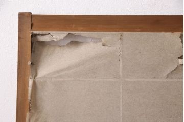 アンティーク建具　小さな障子戸付き　季節の移ろいを感じることができる雪見障子戸2枚セット(引き戸、擦り上げ障子戸、擦上障子戸、建具)(R-049213)