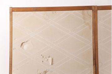 和製アンティーク　二重菱のデザインが珍しい!品のある和を演出する障子戸2枚セット(引き戸、建具)(R-049216)