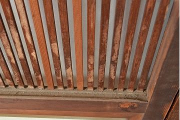 アンティーク建具　整然と並ぶ縦桟が情緒溢れる格子戸2枚セット(引き戸、建具)(R-049287)