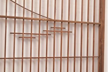 ヴィンテージ建具　昭和中期　富士山の図柄が魅力!和の趣あふれる書院戸2枚セット　(R-049288)