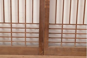 アンティーク建具　富士山の図柄が魅力!和の趣あふれる書院戸2枚セット(ガラス戸、ガラス入り窓、建具)(R-049288)