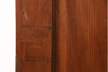 アンティーク建具　総ケヤキ材　一枚板　美しい木肌が高級感漂う新潟県産越後蔵戸(引き戸、玄関戸)(R-049322)