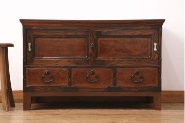 和製アンティーク　天板・楠木材　側面・ケヤキ材　今にも動き出しそうな杢目が目を引くローボード(収納棚、戸棚)、テレビ台)(R-049350)