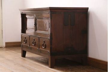 和製アンティーク　天板・楠木材　側面・ケヤキ材　今にも動き出しそうな杢目が目を引くローボード(収納棚、戸棚)、テレビ台)(R-049350)