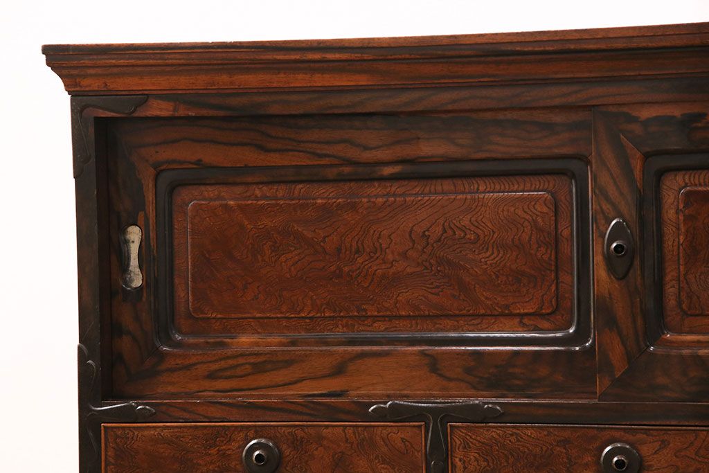 和製アンティーク　天板・楠木材　側面・ケヤキ材　今にも動き出しそうな杢目が目を引くローボード(収納棚、戸棚)、テレビ台)(R-049350)