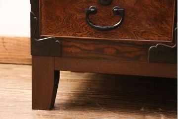 和製アンティーク　天板・楠木材　側面・ケヤキ材　今にも動き出しそうな杢目が目を引くローボード(収納棚、戸棚)、テレビ台)(R-049350)