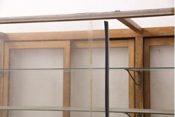 和製アンティーク　ナラ材　タイル張りが魅力のレトロなガラスケース(ショーケース、飾り棚、陳列棚、店舗什器)(R-049460)