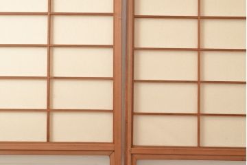 アンティーク建具　昭和中期　レトロガラス入り　腰板がアクセントの障子戸2枚セット(建具、引き戸、ガラス帯戸)(R-049466)